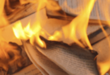 Pitches To Save The Literary Internet