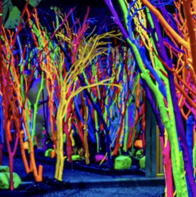 Is Los Angeles Ready For Meow Wolf?