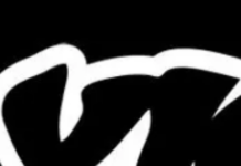 Vice Is, Sort Of, Saved