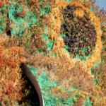 Workers At Glenstone Museum In Maryland Have Decided To Unionize