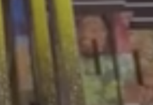 London’s National Gallery Turns 200