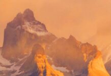 Wilderness, A Concept