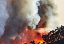 How Notions Of Apocalypse Shape Our Challenges