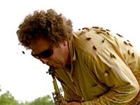 The Cries of All Those Cicadas Are Really Music — Some Of The Coolest Music There Is