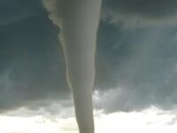 The Astoundingly Rapid Fall Of Conductor François-Xavier Roth