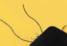 Franz Kafka’s Work Has An Extremely Online Afterlife