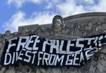 Brooklyn Museum Sees A Massive Demonstrating Asking It To Divest