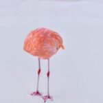 AI Photography Contest Falls Apart When Winner Is Revealed To Be Human