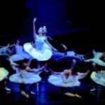 Bayadere Is Stuffed With Stereotypes. Should It Be Reinvented Or Put Away?