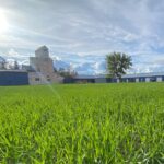 In Bozeman Montana, Renewing The Idea Of West