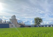 In Bozeman Montana, Renewing The Idea Of West