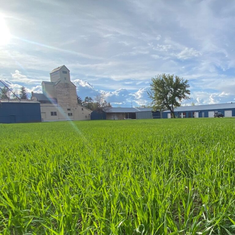 In Bozeman Montana, Renewing The Idea Of West