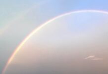 Florida Governor Vetoes Millions In Arts Grants