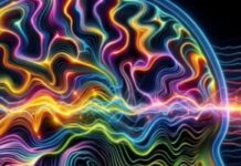 Neuroscience Study: Negative Artist Bio Information Influences Perception Of Their Art