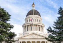 What Ails Us: Government Support For The Arts On The Wane