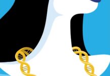 Can We Inherit Memories From One Generation To The Next?