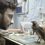 India’s Indie Films Are Getting Awards All Over The World But Can’t Get Onto Screens At Home