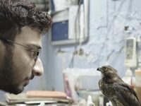 India’s Indie Films Are Getting Awards All Over The World But Can’t Get Onto Screens At Home