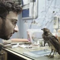 India’s Indie Films Are Getting Awards All Over The World But Can’t Get Onto Screens At Home