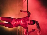 Pole-Dancing’s Long, And Probably Futile, Struggle To Become An Olympic Sport