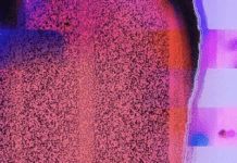 We Need To Have A Serious Chat About OpenAI’s Security