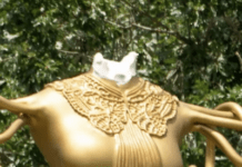 Shahzia Sikander Says She Doesn’t Want To Give Her Beheaded Statue Another Head