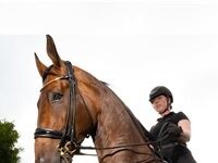 Dressage: The Olympic Sport Of Teaching A Horse To Dance