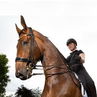 Dressage: The Olympic Sport Of Teaching A Horse To Dance