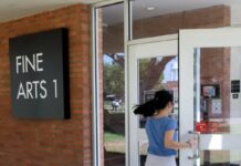 Study: Job Prospects For Art History Graduates Stink