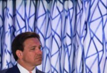 Report: Why Desantis Canceled All Florida Arts Funding