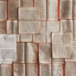 What Is A “PoetJournalist?”