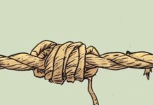 Study: Why You’re More Likely To Believe Fake News From Acquaintances