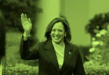 The Internet Memes Defining Kamala Harris