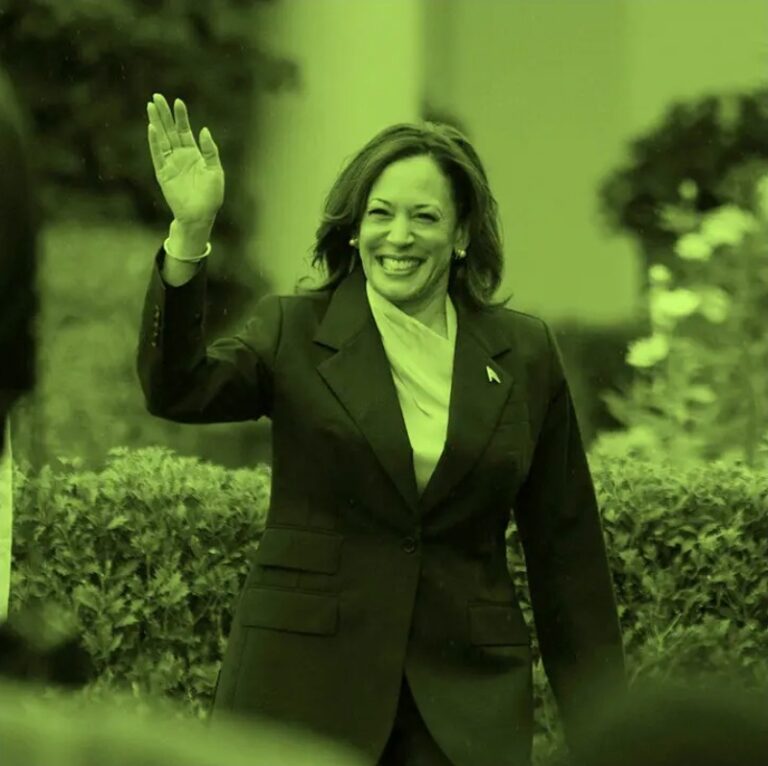 The Internet Memes Defining Kamala Harris