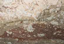 The World’s Oldest Story Painting Is 51,000 Years Old