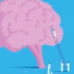 Why Your Brain Needs Other People
