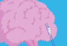 Why Your Brain Needs Other People