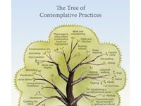 We Should Teach Schoolkids Meditation Skills The Same Way We Do Sports And Arts