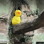 Theatre Folks Are Inveterate Pranksters, Onstage And Backstage