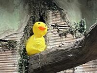 Theatre Folks Are Inveterate Pranksters, Onstage And Backstage