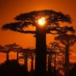 Plant Philosophy (Yes, It’s A Thing)