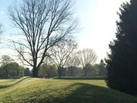 Golf Club Will Vacate Site Of Ancient Native American Earthworks