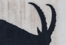 Banksy’s Newest In London Is A Black Goat