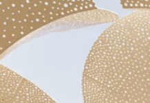 A Remodel Gets The University Of Texas’ Art Museum Back In The Thick Of Campus – And The Art World