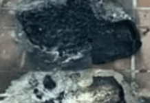 A Person Has Been Arrested For Suspected Arson At The Jewish Museum Of Maryland