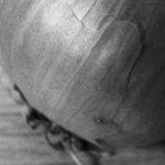 Unexpectedly, And Beautifully, The Onion Has Saved Itself From A Content Farm Death Spiral