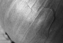 Unexpectedly, And Beautifully, The Onion Has Saved Itself From A Content Farm Death Spiral