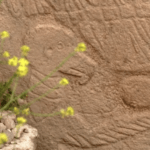 Is This Ancient Stone Carving In Turkey The World’s Oldest Calendar?