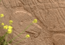 Is This Ancient Stone Carving In Turkey The World’s Oldest Calendar?