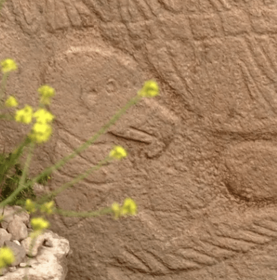 Is This Ancient Stone Carving In Turkey The World’s Oldest Calendar?